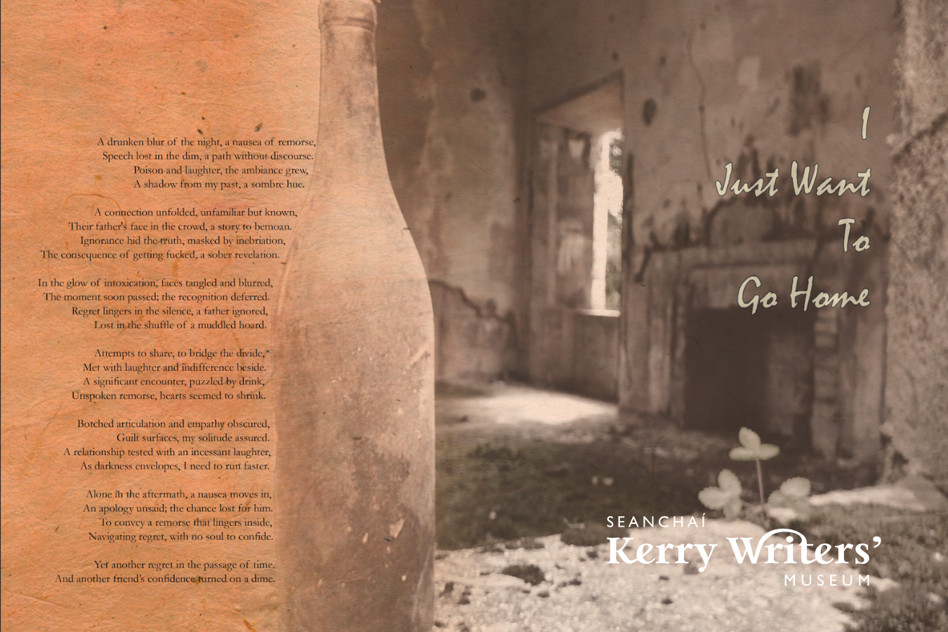 I Just Want To Go Home by Aidan O'Leary