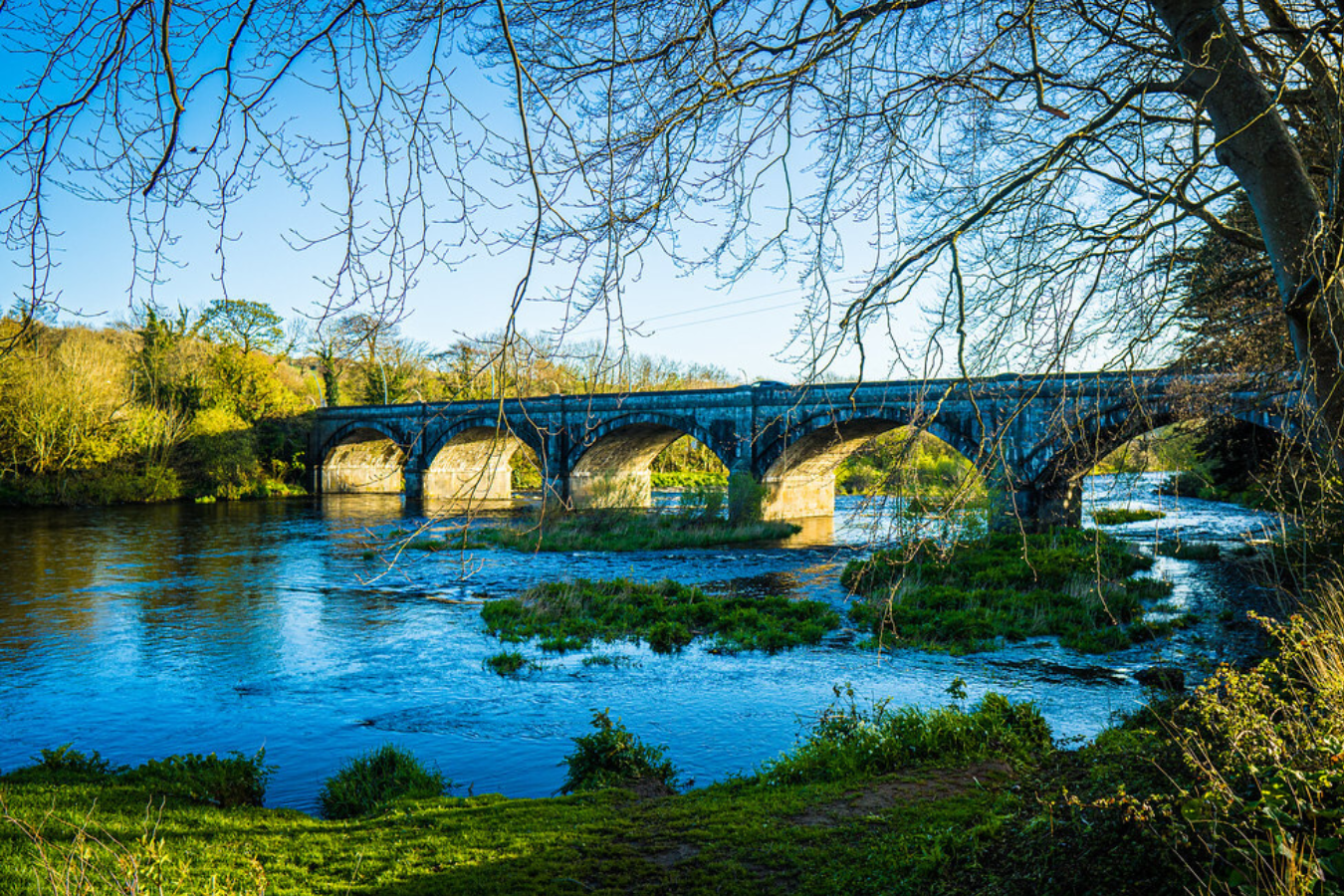 Exploring the River Feale up close — a reflective walk uncovering the beauty and challenges of this ever-changing landscape.