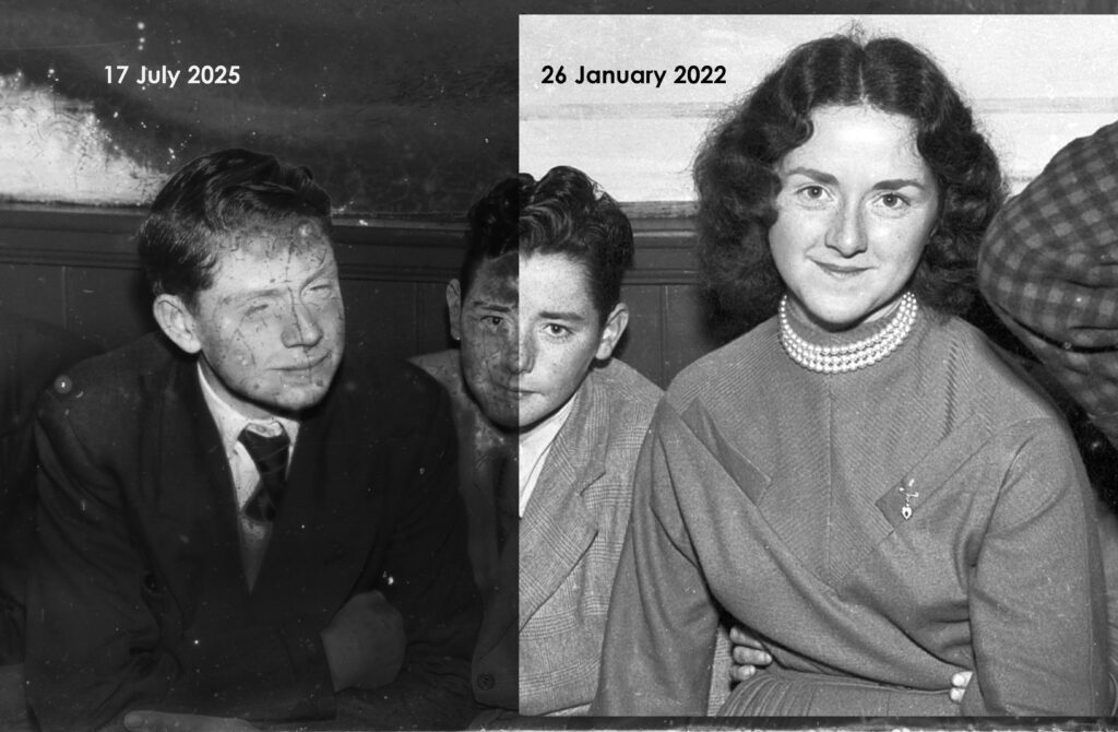 TF Collection image4