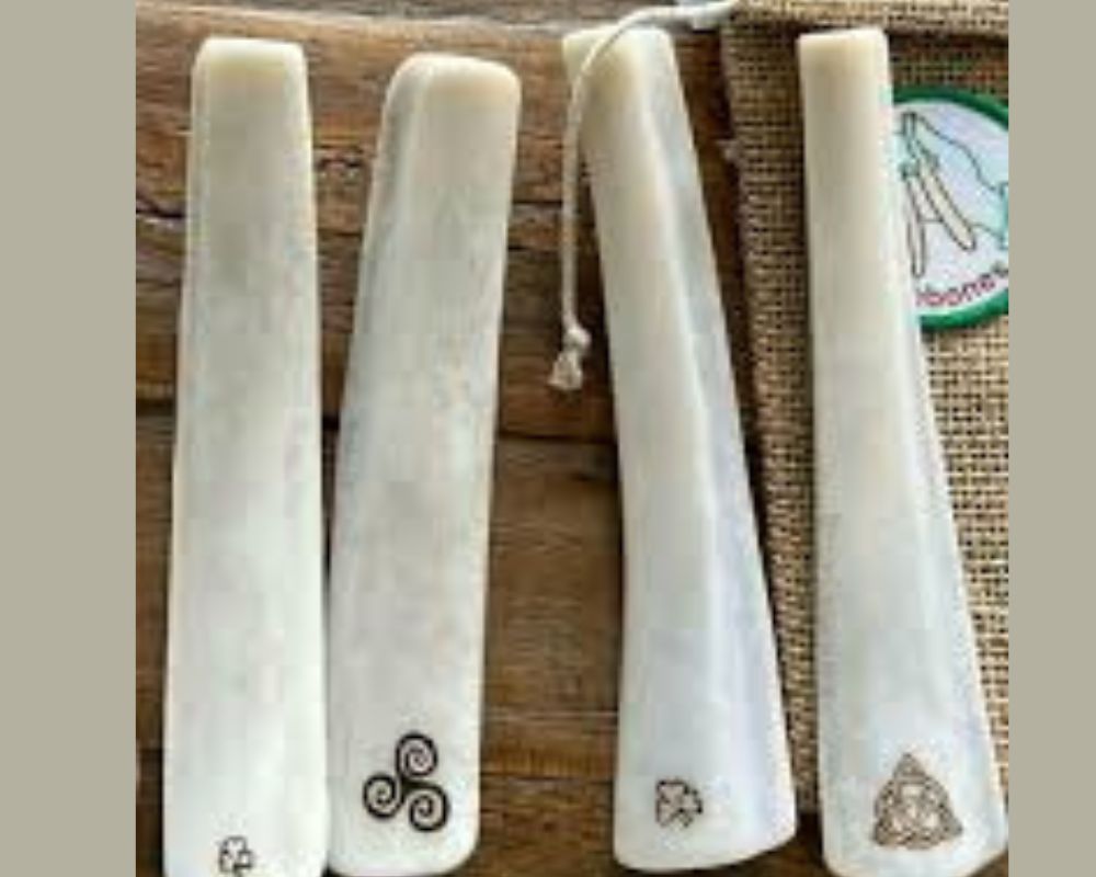 Ancient Bones Workshop