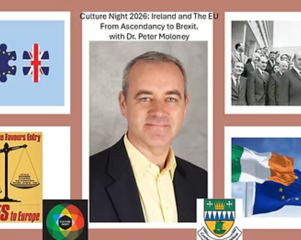 Culture Night EU Talk